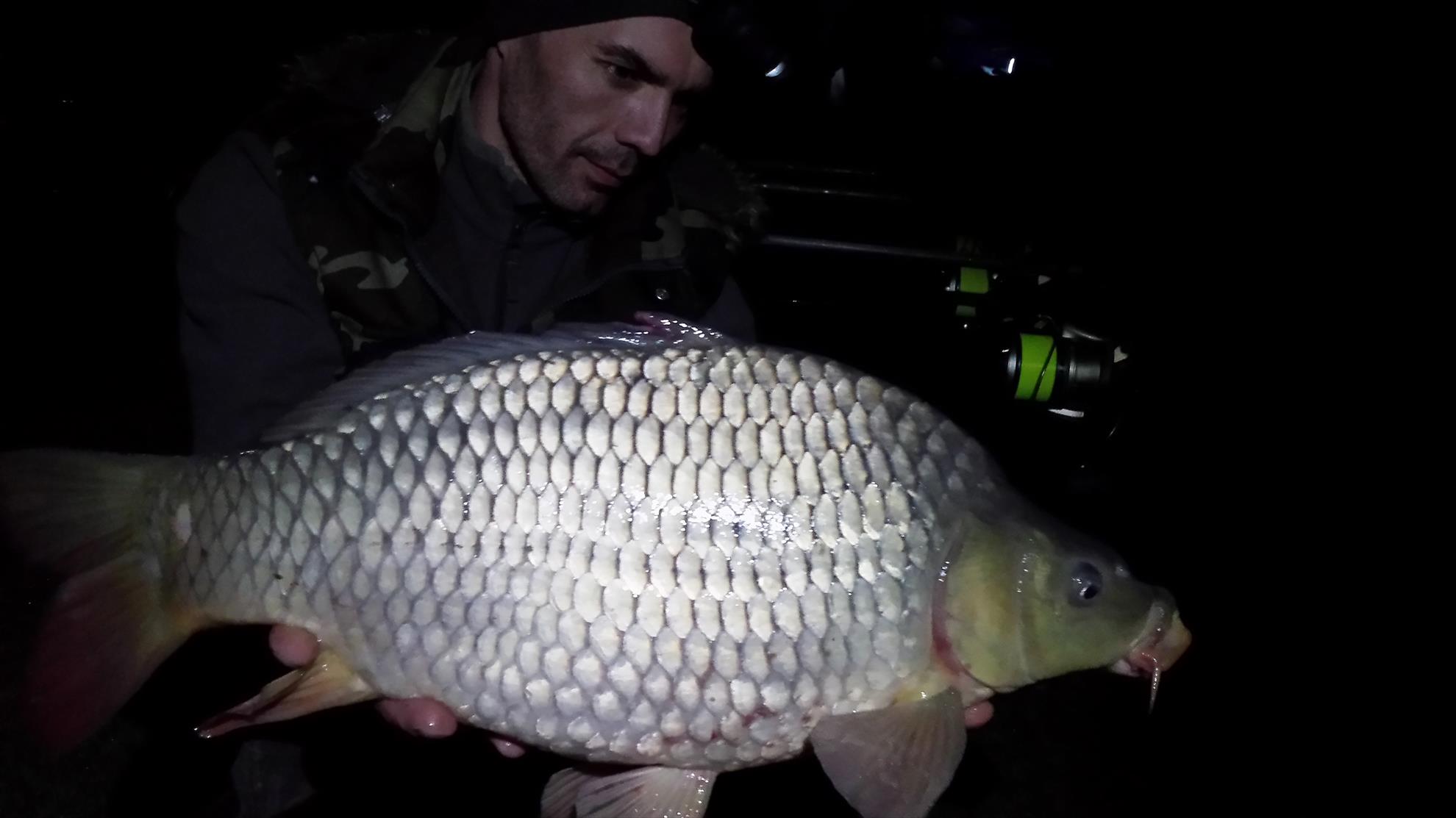 Moara Vlasiei 2 28 februarie - 1 martie 2015 - 20150228230132lls.jpg